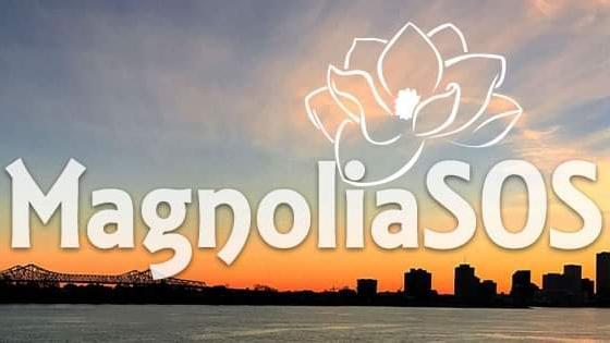 Magnoliasos Residential Cleaning