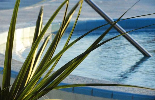 Perimeter Pool Service