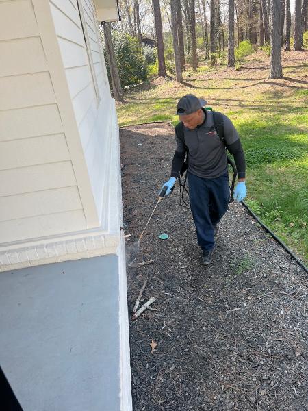 Pestnation