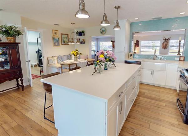 Lion Kitchen Remodel