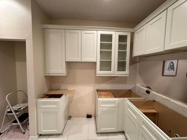 Lion Kitchen Remodel
