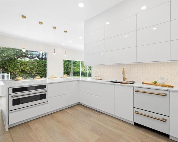 Lion Kitchen Remodel