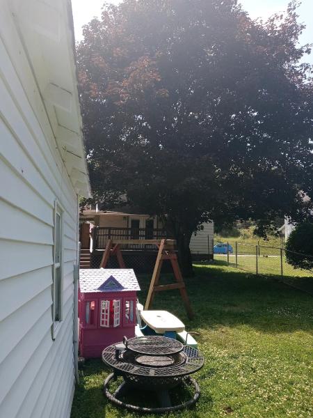 Penn West Tree Service