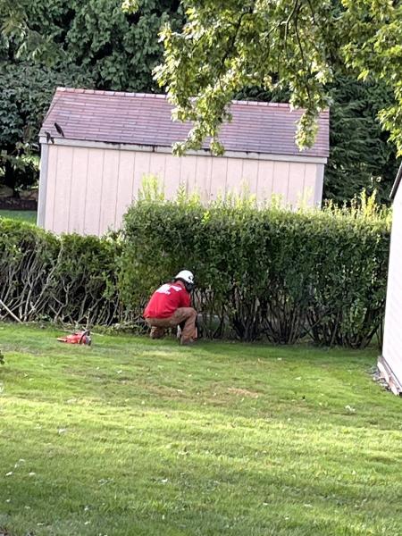 Penn West Tree Service
