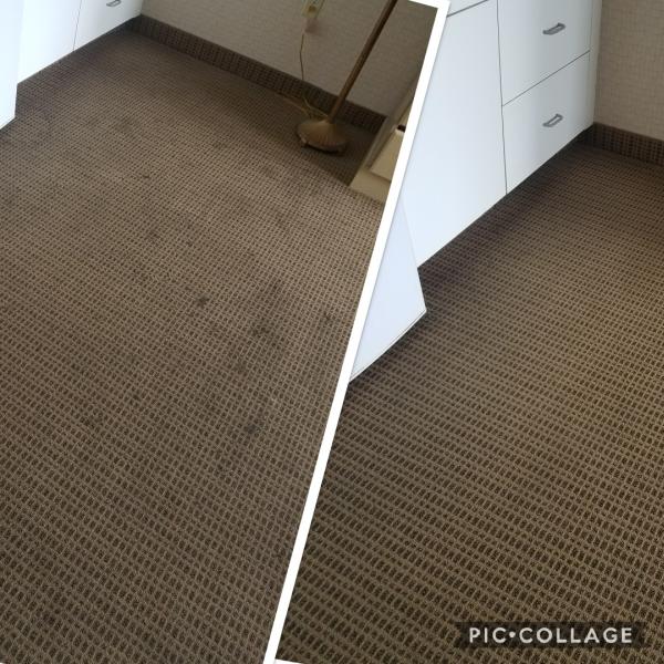 K & N Carpet Care