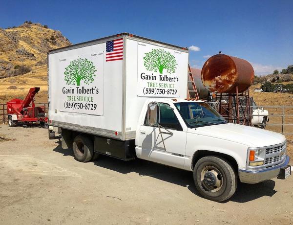 Gavin Tolbert's Tree Service