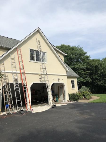 Expert Painting