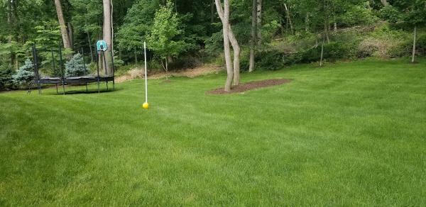 Pro Green Lawn Care