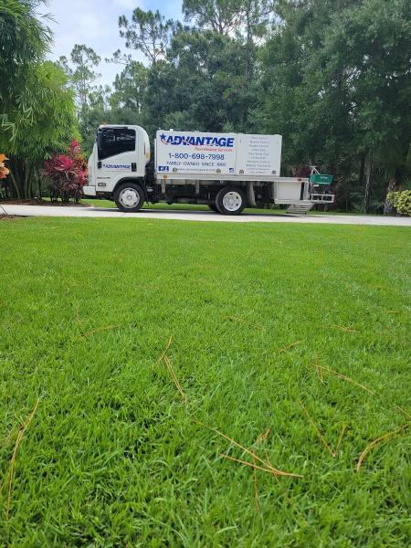 Advantage Pest Related Services