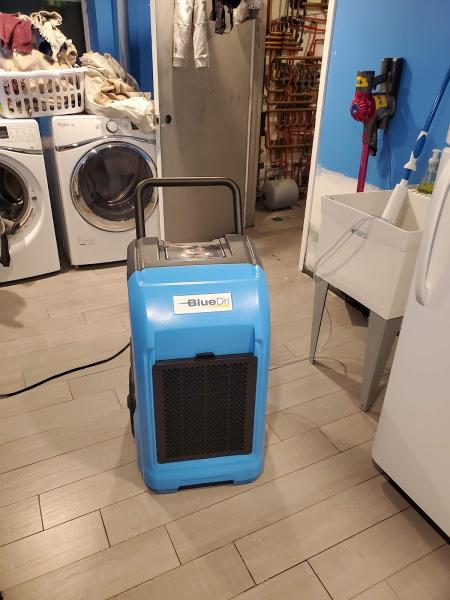 Mold Inspection & Testing Bronx NY