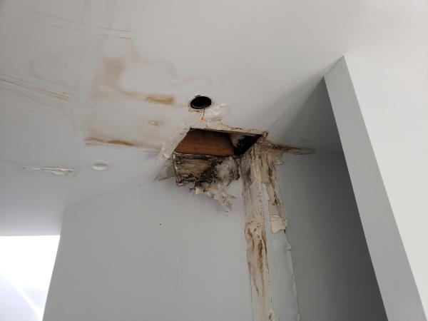 Mold Solutions & Inspections