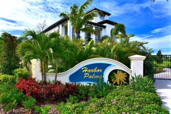Harbor Palms