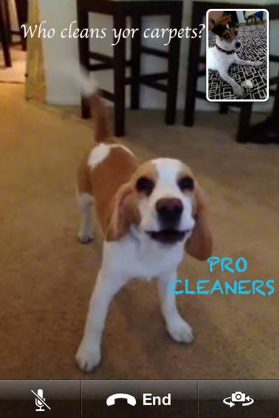 OC Pro Cleaners
