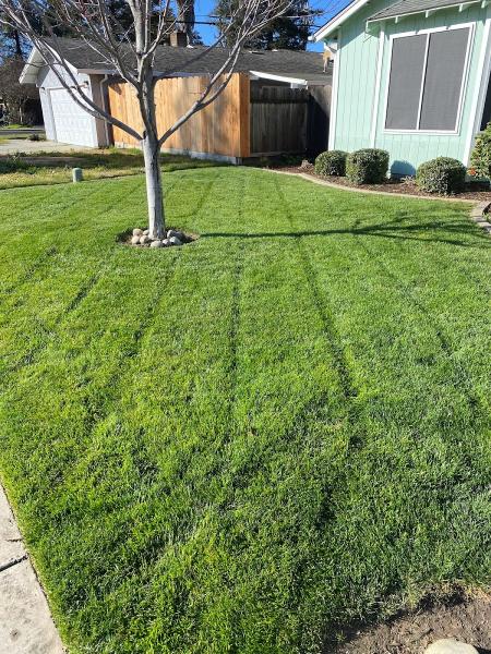 Marc McGuire Landscaping