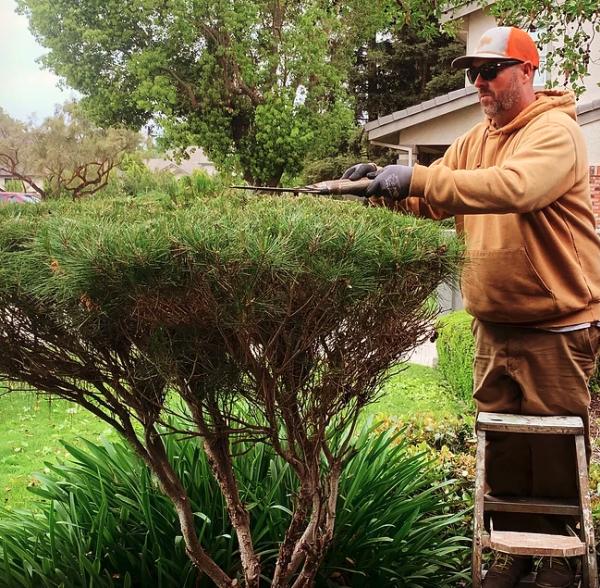 Marc McGuire Landscaping