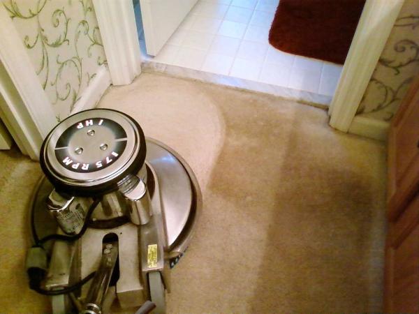 Citrusolution Carpet Cleaning Serving West and South Cobb