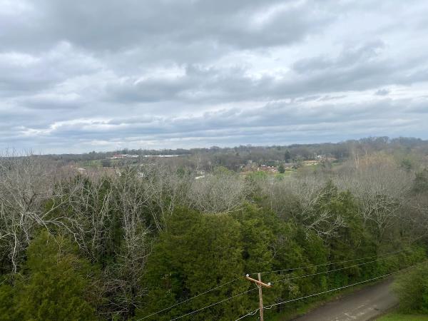 Langford Tree Care Llc