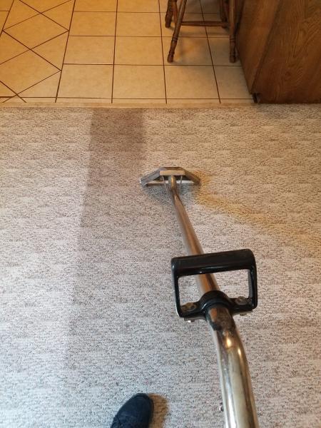 Dynamic Carpet Care