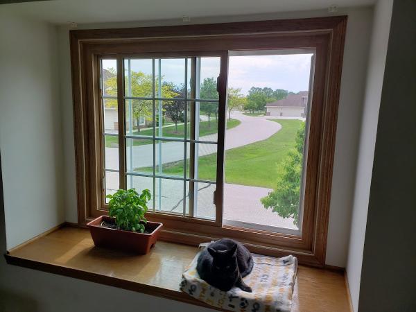Homesealed Exteriors
