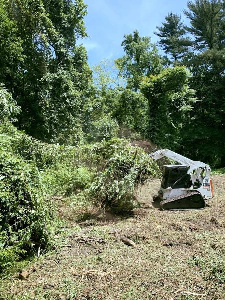Strong Island Land Services