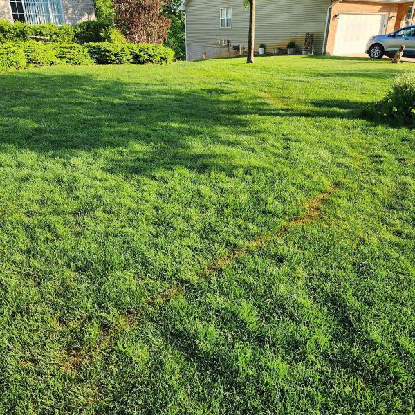 Welton Lawn Care