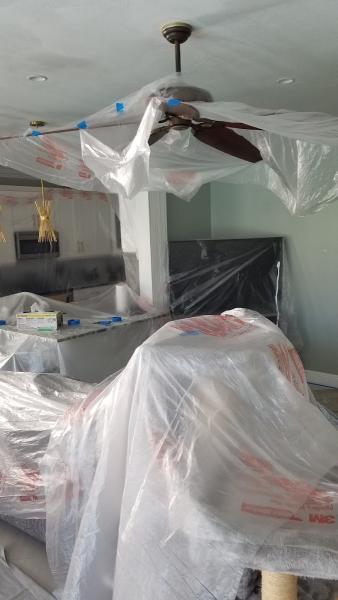 Alex Quality Painting Contractor LLC