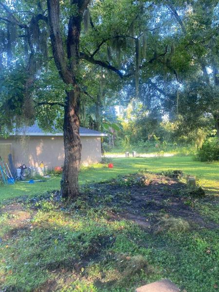 Tree Service Legends