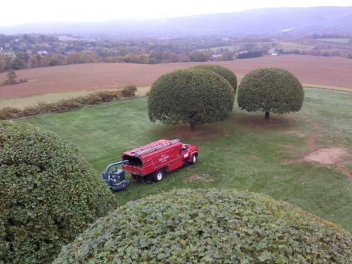 Fields Tree Service