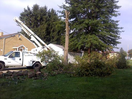 Fields Tree Service