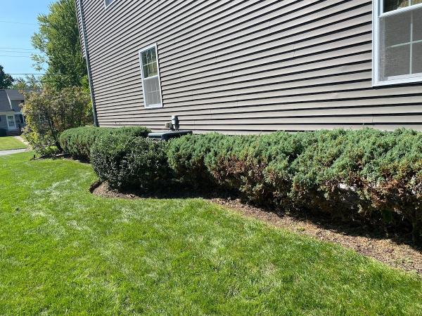 Vista Landscaping & Construction LLC