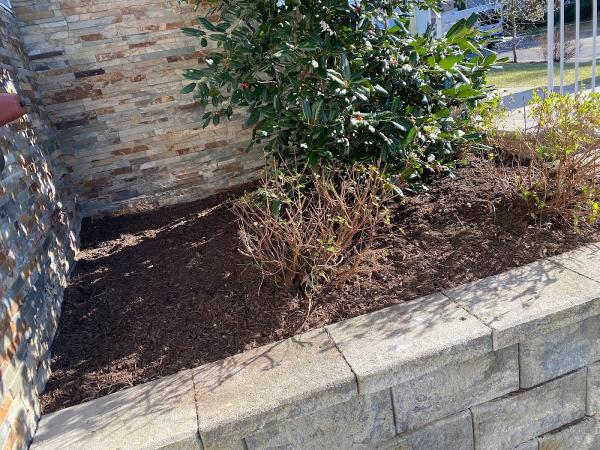 Vista Landscaping & Construction LLC