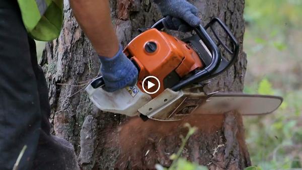 Rocky's Tree Service
