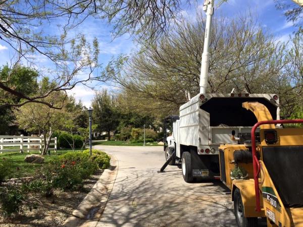 Rocky's Tree Service