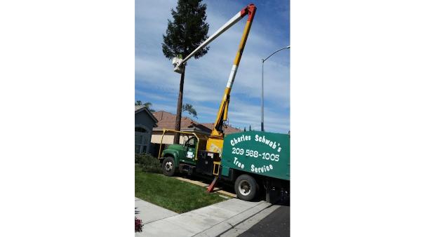 Charles Schwab's Tree Service Inc.