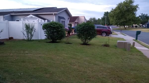 Caruso's Landscape LLC