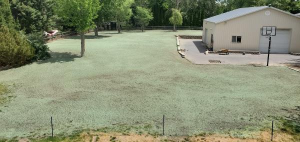 Quality Hydroseeding