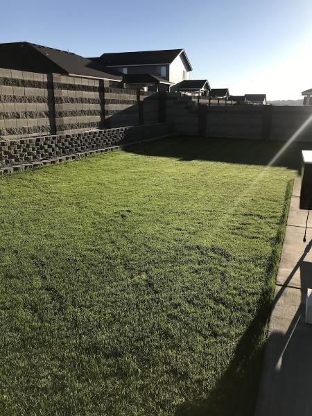 Quality Hydroseeding