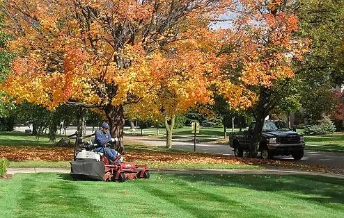 Gavin's Home and Lawn Care