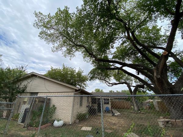 RJ Tree Service