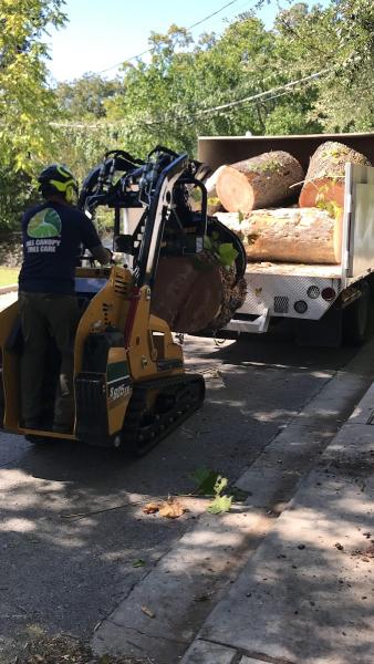 Full Canopy Tree Care
