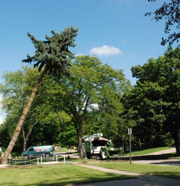 The Michigan Property Network