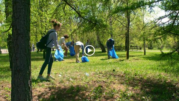 Ria's Cleaning Services