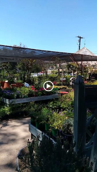 El Plantio Nursery & Landscaping