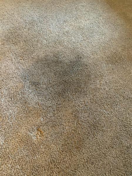 Sparkle Carpet Cleaning