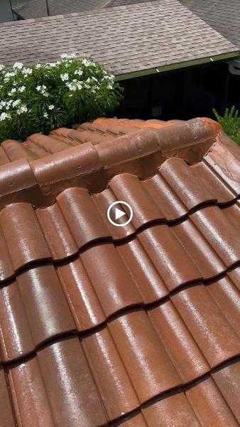 Perfect Pear Roof & Exterior Cleaning