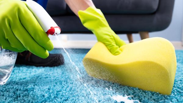 Neighbor Carpet Cleaning