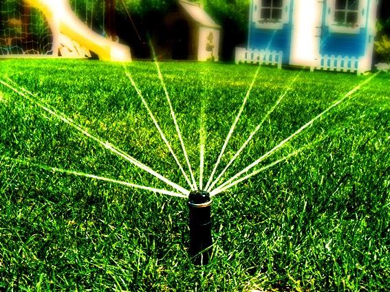 Sprinkler Master (Davis County)