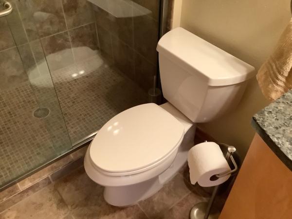 Avid Plumbing LLC