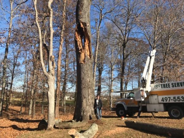 Jb's Tree Service