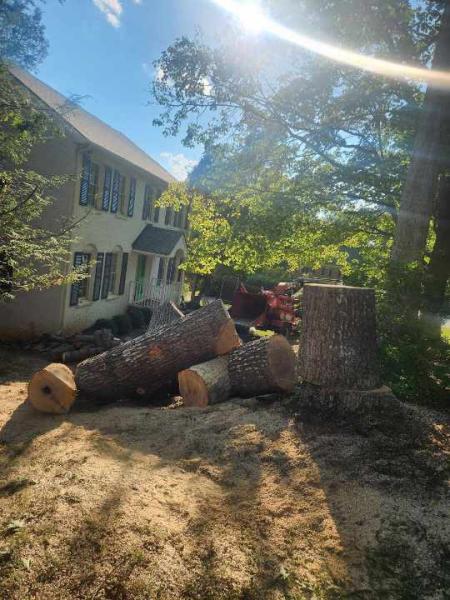 Sharptop Tree Service